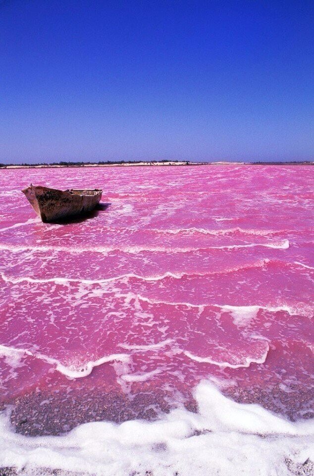 Озеро Хиллер Австралия - почему вода розовая