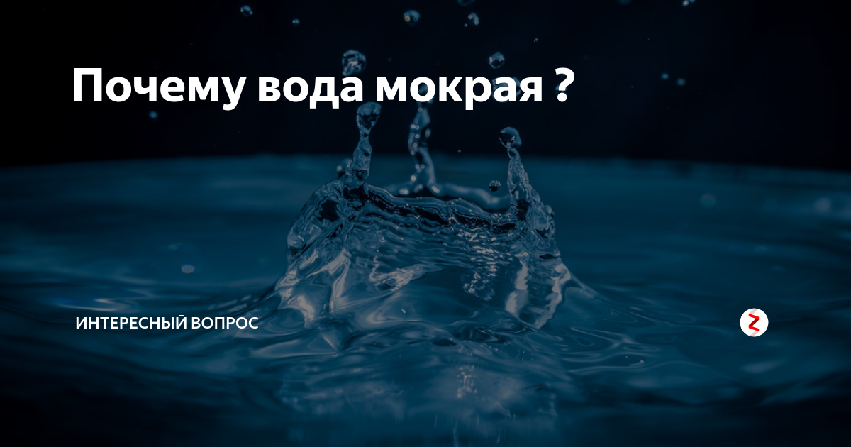 Зачем вода белая. Почему вода мокрая. Почему вода мокрая ответ. Не мокрая вода. Почему вода мокрая ответ на вопрос