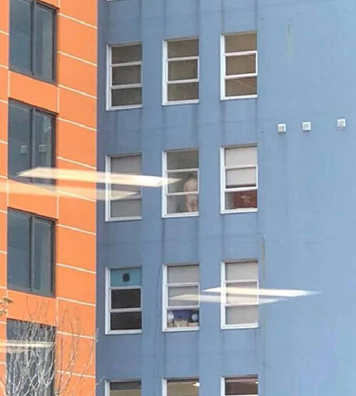  Жительница Веллингтона (Новая Зеландия), недавно устроившаяся работать в офис, с изумлением увидела, что творится в здании напротив.Возле окна спиной к женщине стоял обнажённый мужчина. Когда смущённая сотрудница рассказала об этом коллегам, те со смехом попросили её привыкать — такое зрелище они наблюдают почти каждое утро. Непонятно, что именно делает незнакомец — он просто стоит так некоторое время, а потом уходит заниматься остальными ежедневными делами.