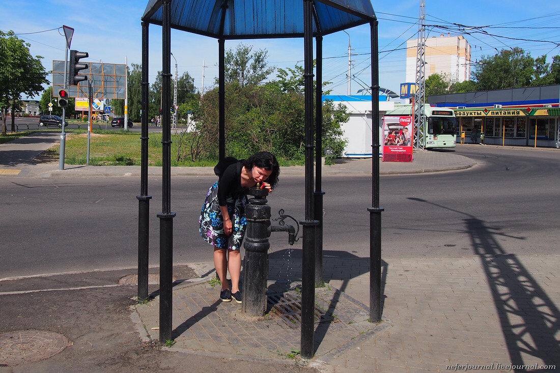 В Бобруйске бобры | Маньяк-путешественник | Дзен