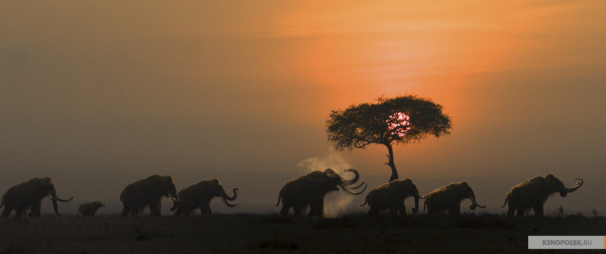 Источник изображения www.kinopoisk.ru