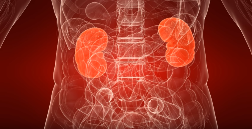 Источник: https://youtu.be/2CznUi0EQkc