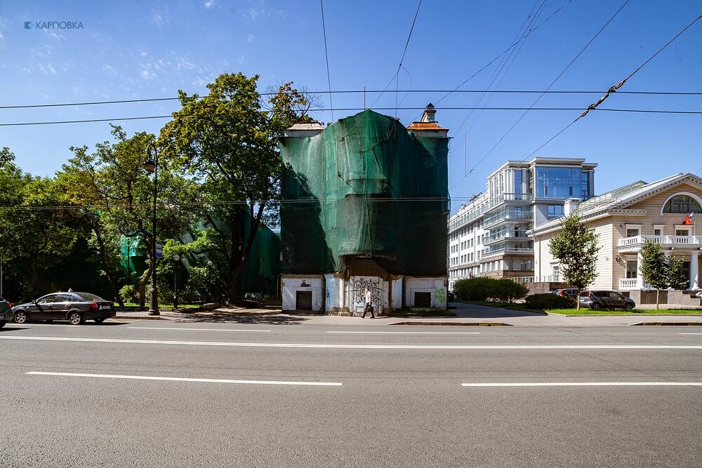 Весь покрытый зеленью: исторические дома Петербурга в фасадной сетке, Интернет-газета «Карповка»