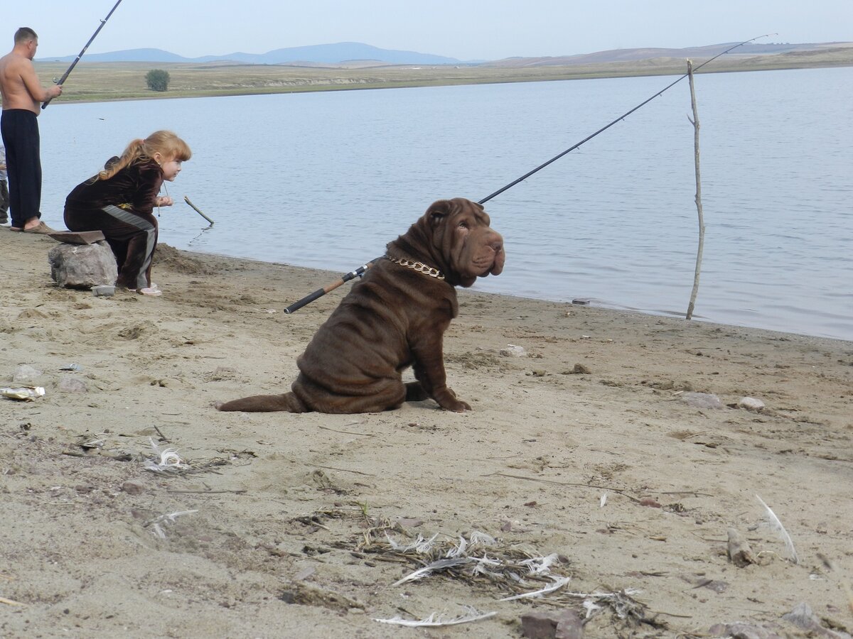 Боня (не наша))) на рыбалке Светлана Титарчук (фото из нашей группы в Контакте)