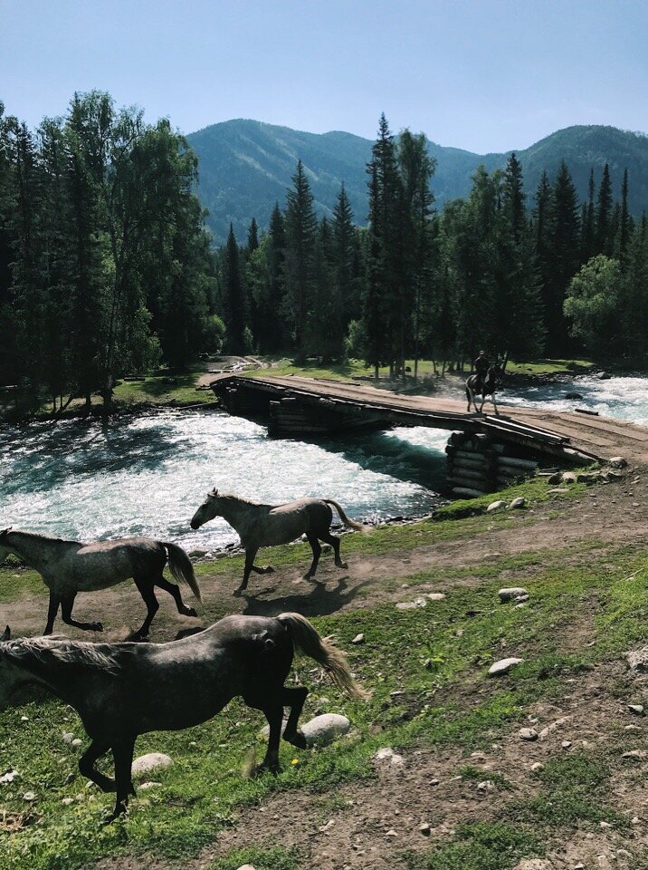 Погода в усть коксе на неделю. Усть кокса горный Алтай. Село Усть кокса Республика Алтай. Поселок Усть кокса горный Алтай. Усть-кокса Алтай достопримечательности.