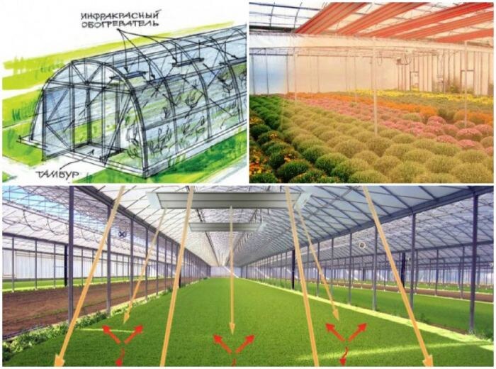 5 Рекомендаций по инфракрасному обогреву теплиц и парников