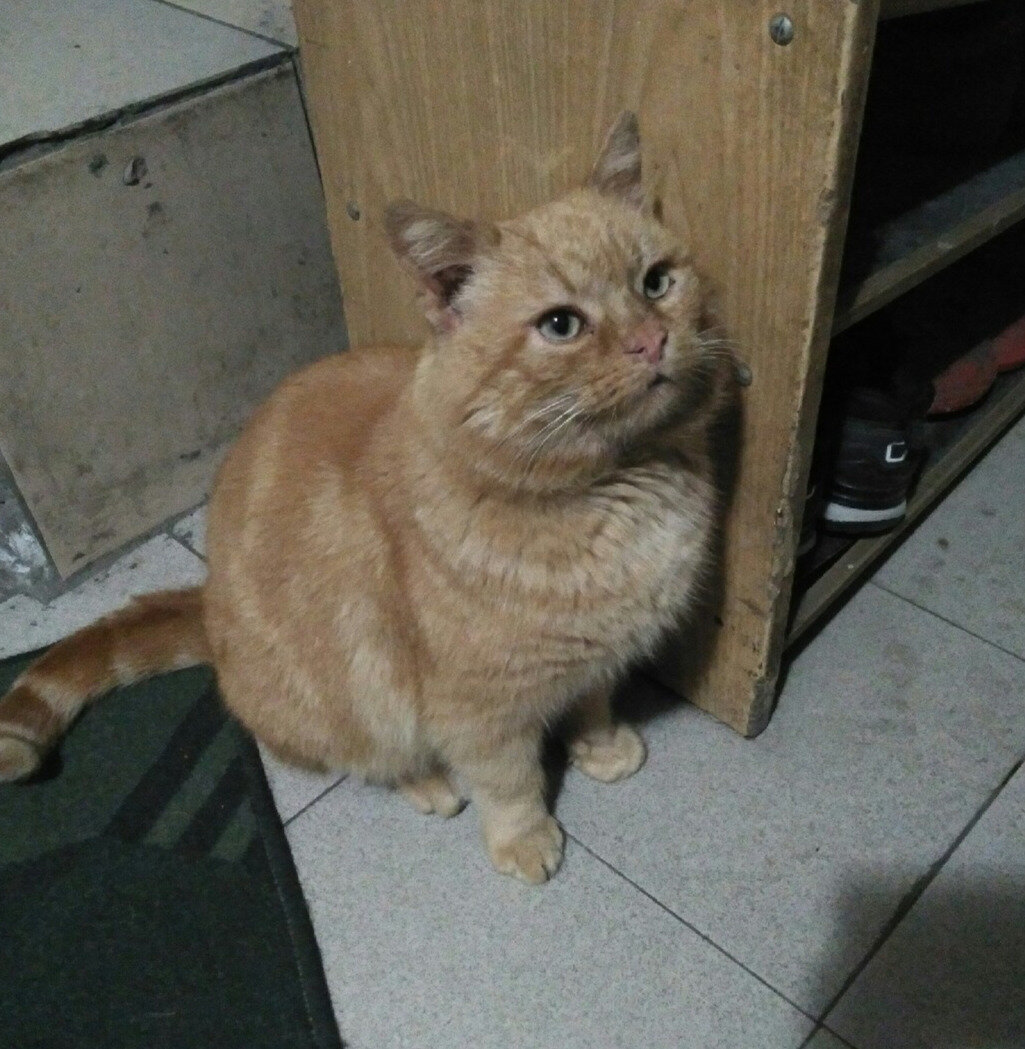 У него равнодушный взгляд