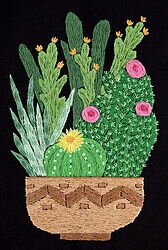 Живая картина. Кактусы в кашпо.