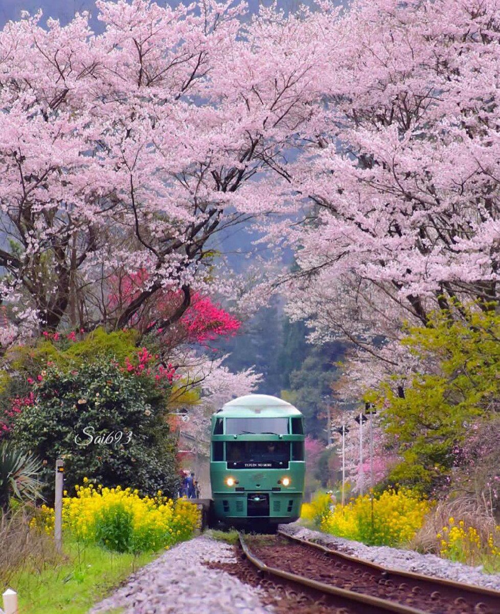 Фото by Wonderful Places https://www.instagram.com/p/BuAtRyPhSz7/
