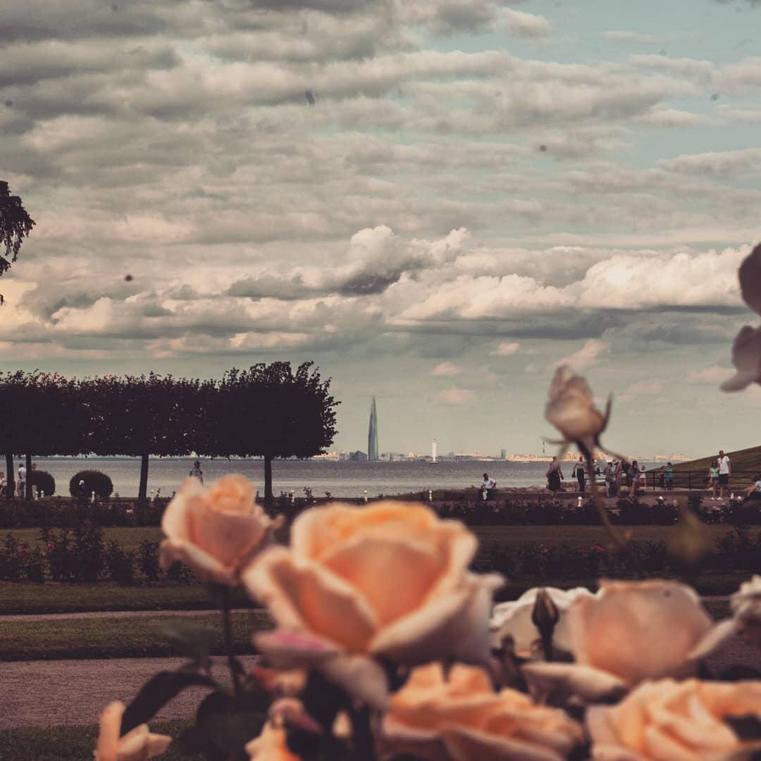 Фото by Станислав Миронов https://www.instagram.com/p/Bml4yiln-6H/