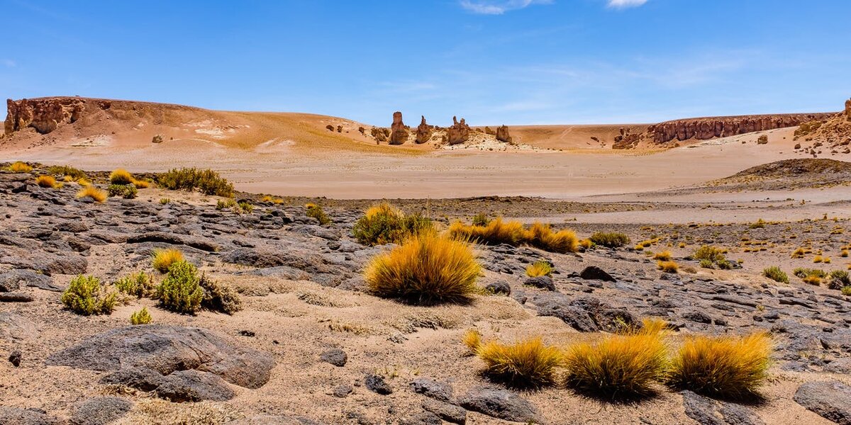 Пустыня Атакама