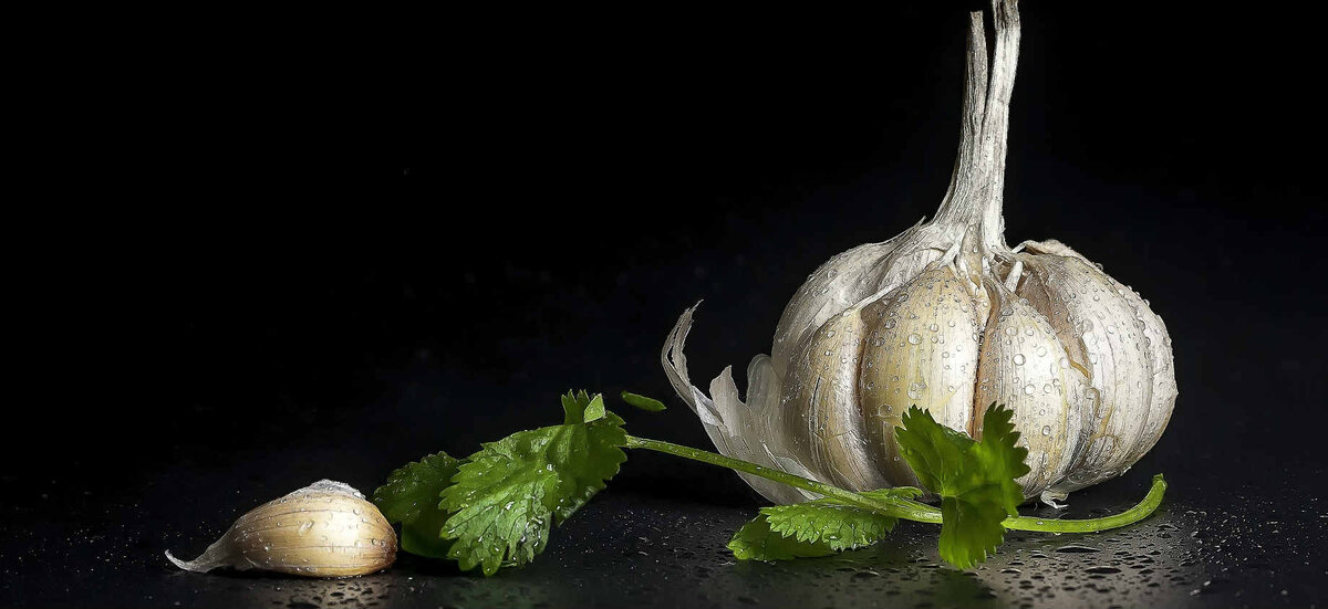 Чеснок - garlic
