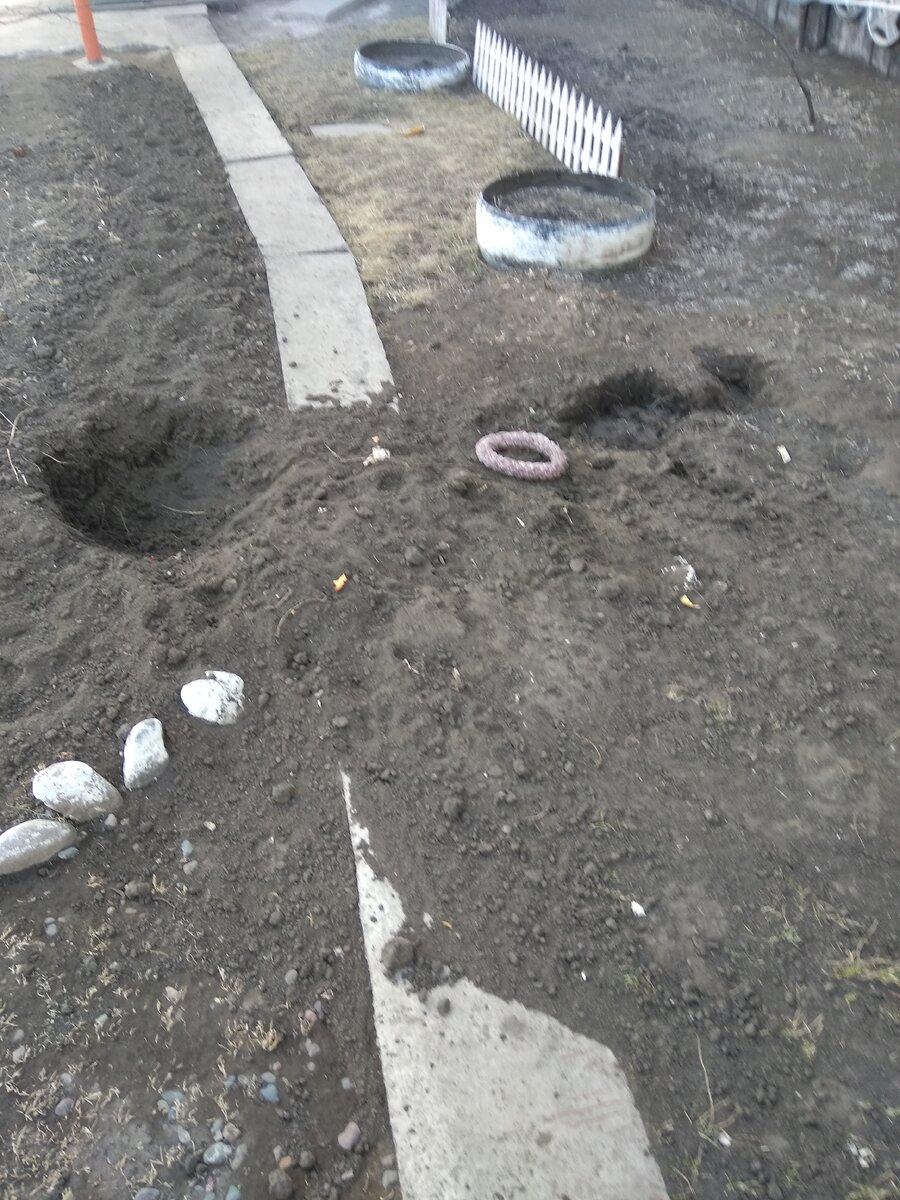 Мои многолетники варварски уничтожены, как и самодельный заборчик, который я сама терила из тарных ящиков, аккуратно разбирая каждую дощечку.