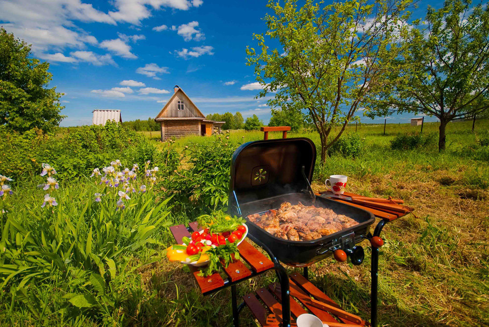 Источник фото - сервис поиска "Яндекс.Картинки"