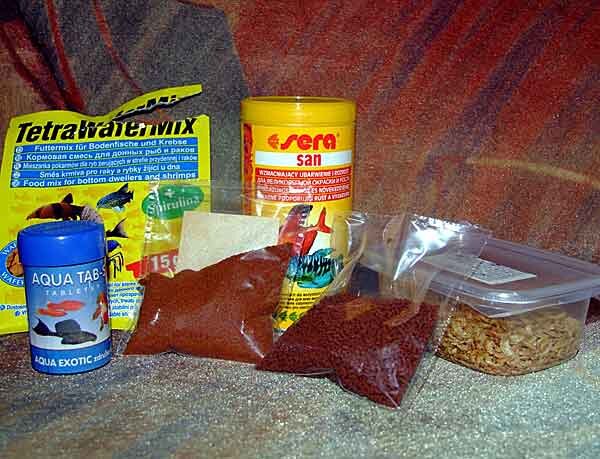 Источник фото: en.aqua-fish.net