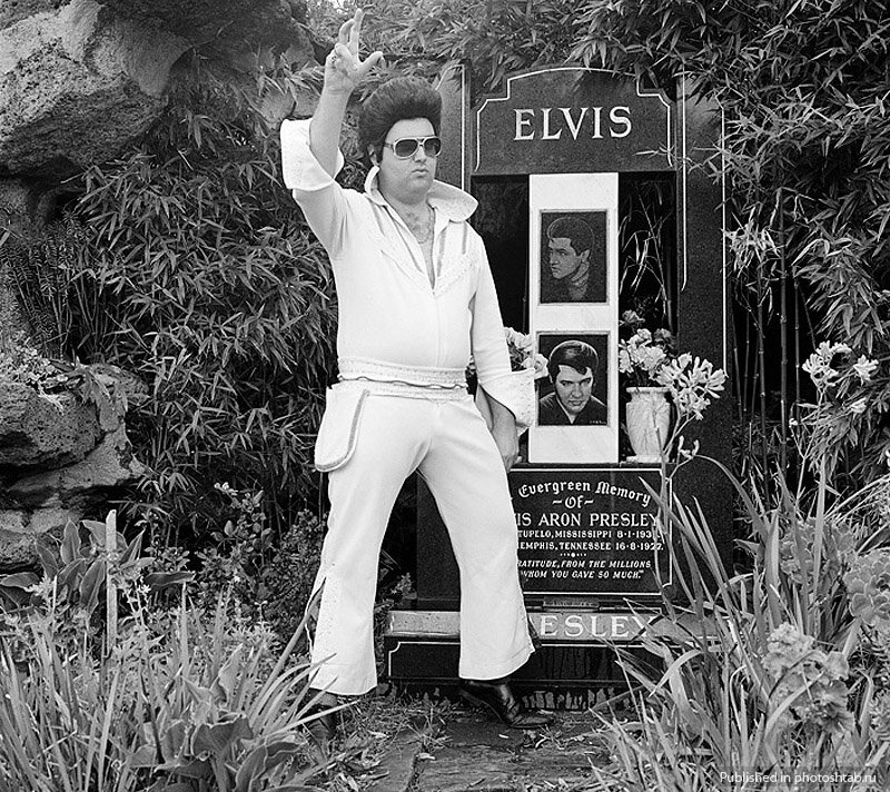 Источник Яндекс фото.