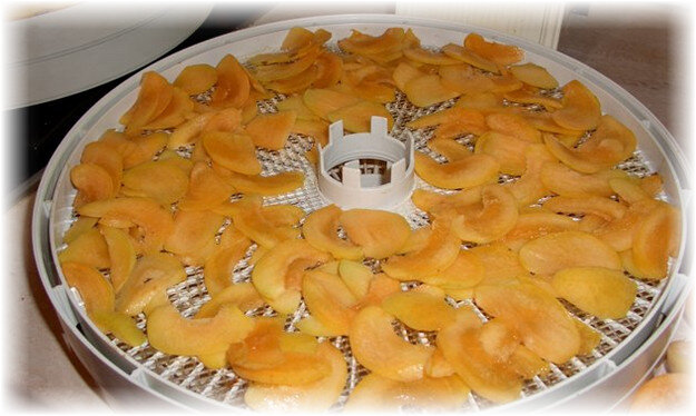 Урюк: сушеные абрикосы с косточкой