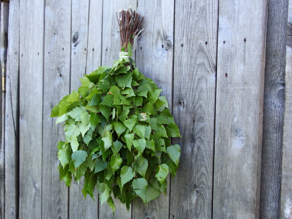 Березовый веник