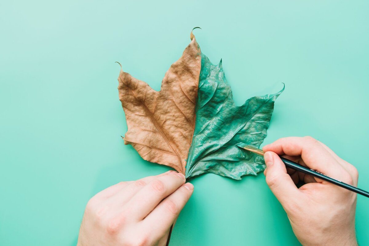 Leaves are covered. Окрашивание листьями. Покраска с листьями. Листочек для окрашивания. Крашеные листья для декора.