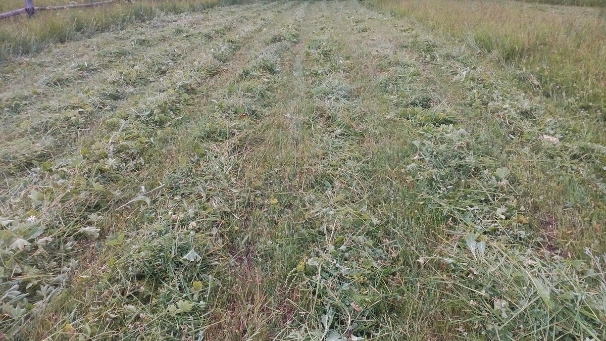 автор фото Александр Г.