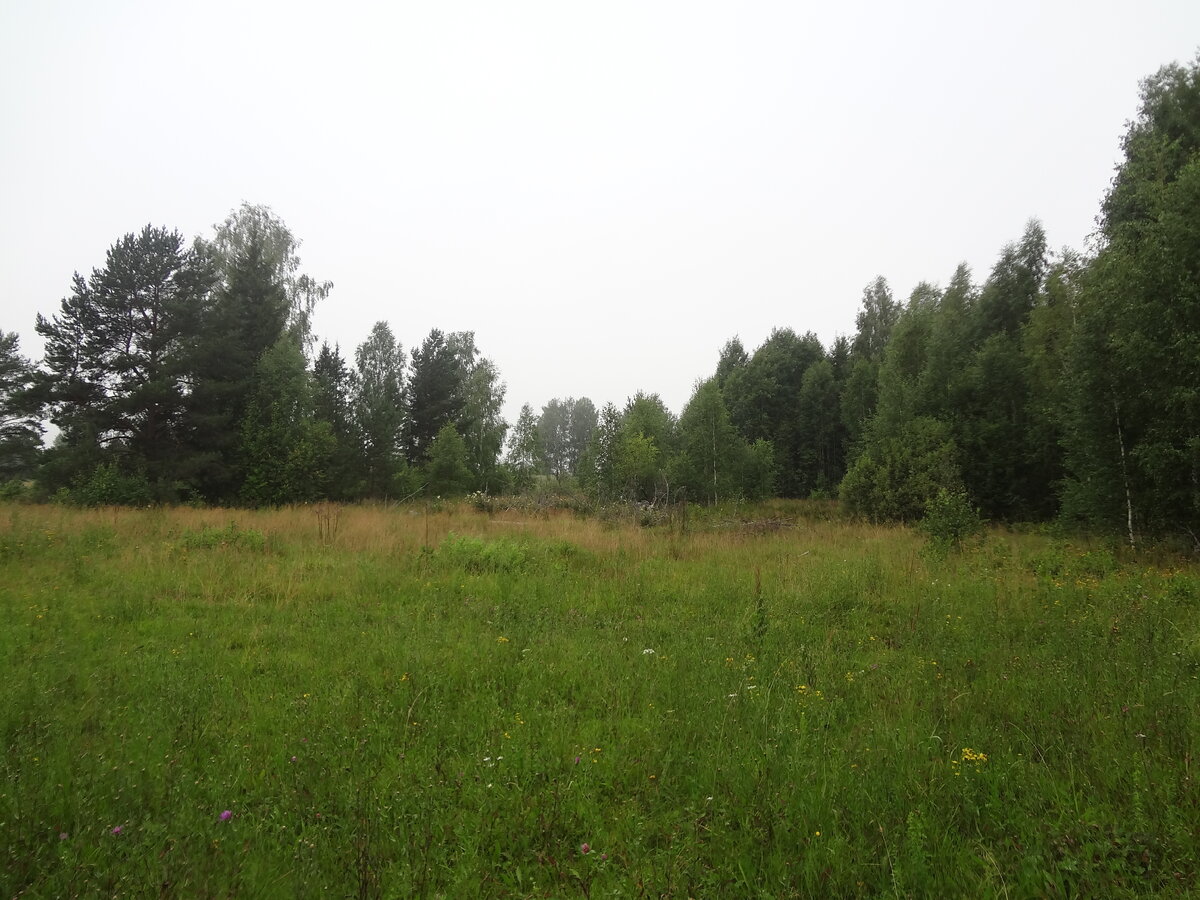 Край поля перед лесом, где находится скит