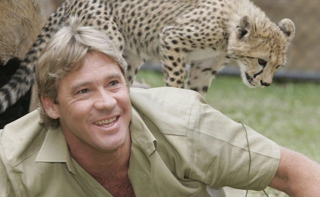 Современные юннаты. Со натуралист. Дети наблюдают за природой в детском саду. Со натуралист. Австралийский натуралист стив ирвин.