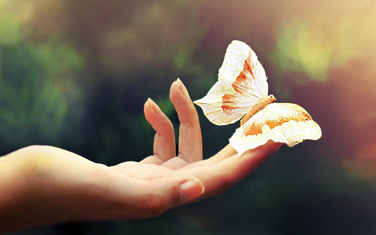 Фото из Интернета.