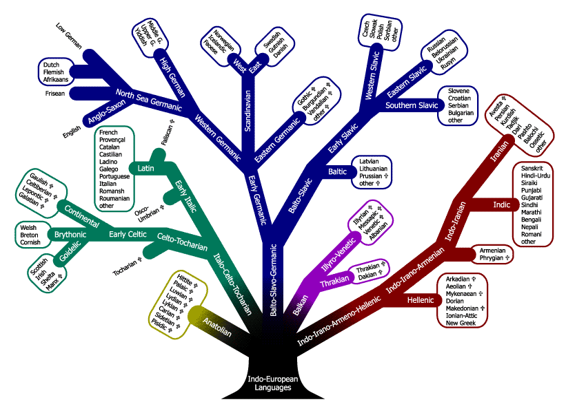 Индоевропейские ветви. Индоевропейские языки генеалогическое Древо. Индоевропейская семья дерево. Языковые ветви схема. Индоевропейская языковая семья дерево.