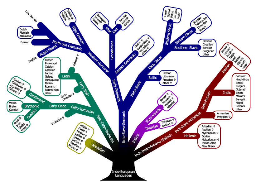 Дерево языков. Индоевропейская семья дерево. Индоевропейские языки генеалогическое Древо. Индоевропейская языковая семья дерево. Языковые ветви схема.