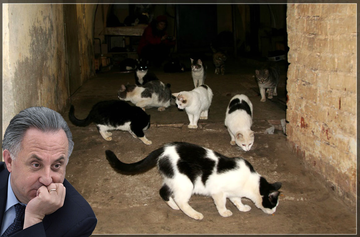 Куда же их теперь деть?