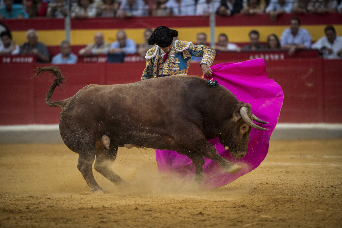 Como hacer un carreton de toro