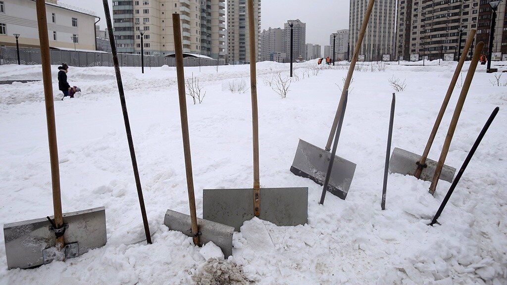 Источник: Агентство «Москва» 