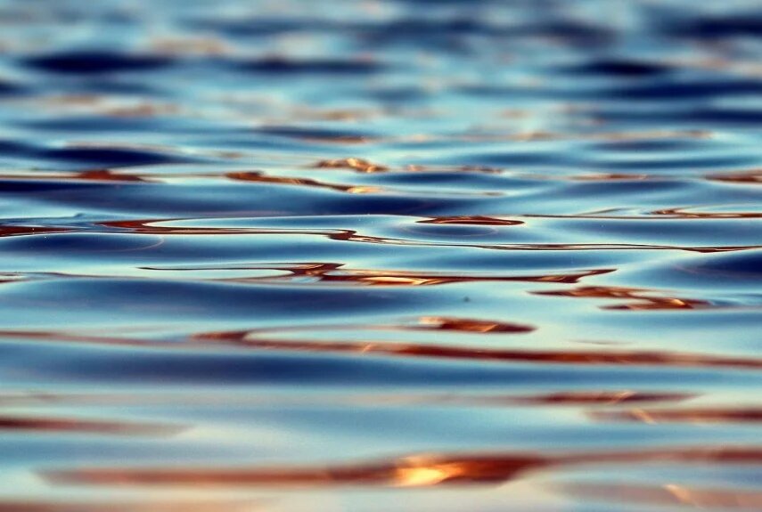 Фото: pixabay.com  