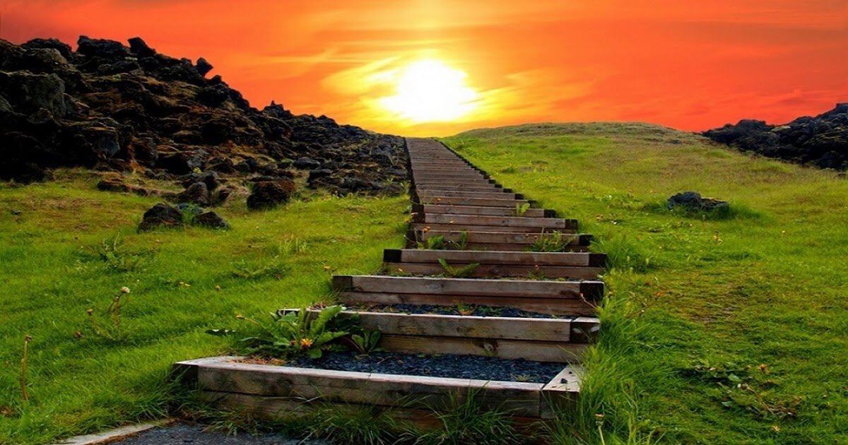 Фото из свободных источников