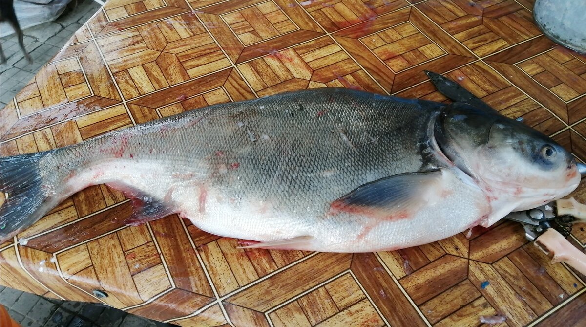 Буду благодарна если вы дочитаете публикацию до конца и оцените статью лайком 