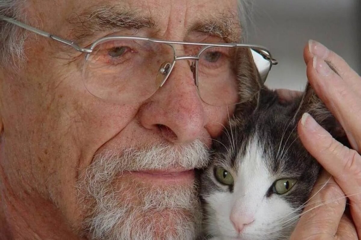 старик с котенком. самый старый кот. возраст пожилого кота. бабушка с котиком. возраст пожилого кота.