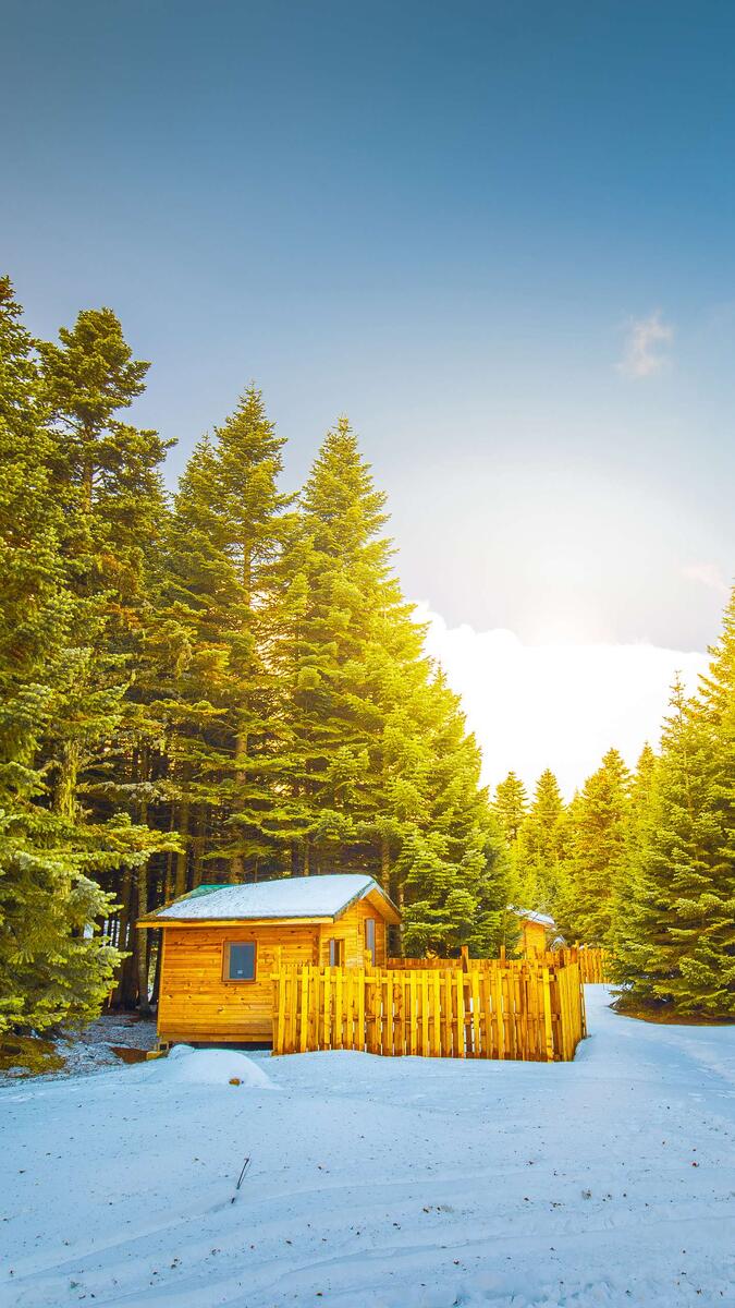 💛Аффирмация недели: " Я В ГАРМОНИИ С СОБОЙ И ЭТИМ МИРОМ. ДОВЕРЯЮ ПОТОКУ И ЧУВСТВУЮ БЕЗОПАСНОСТЬ!" 💛