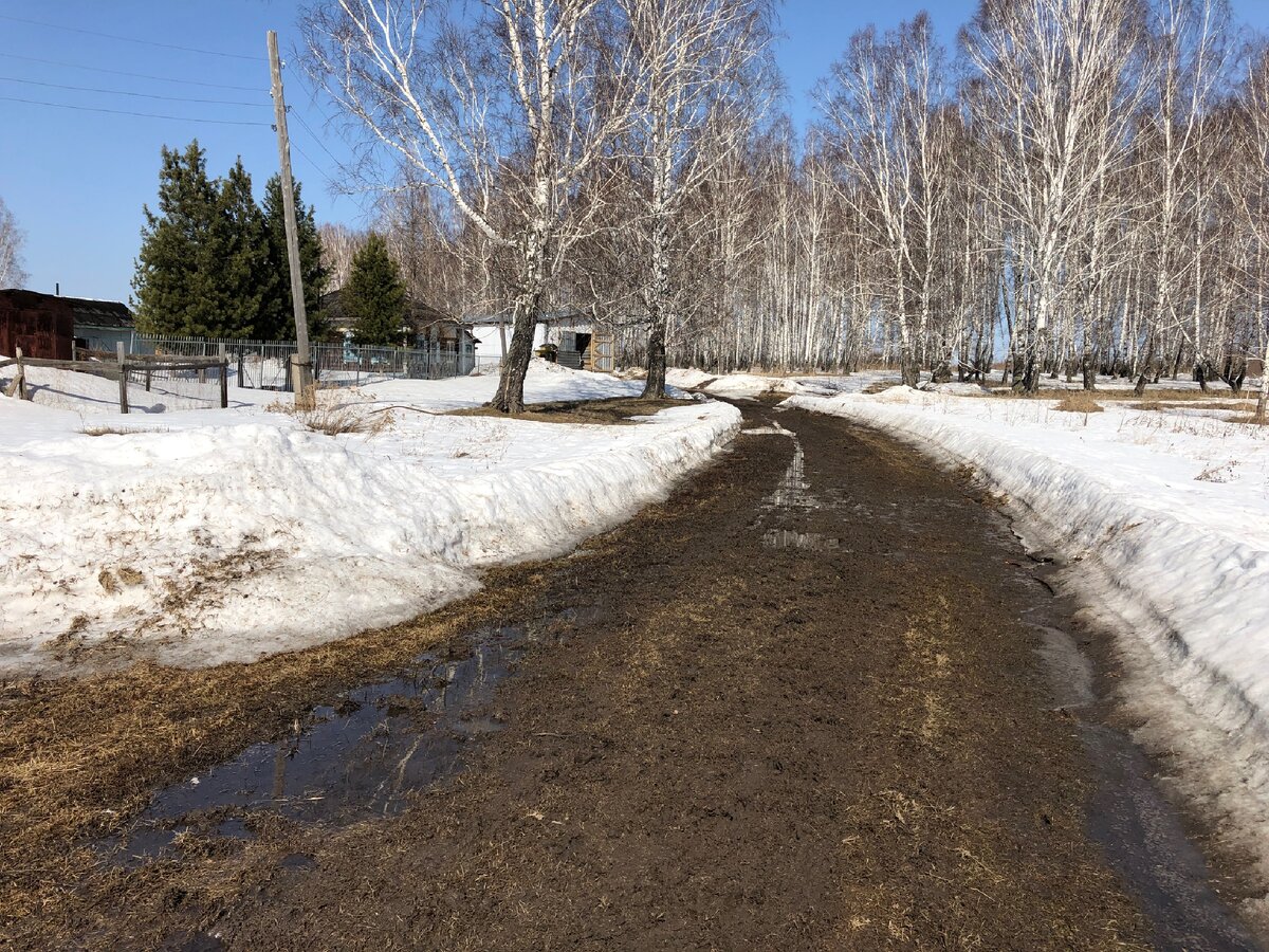 Весна в деревне