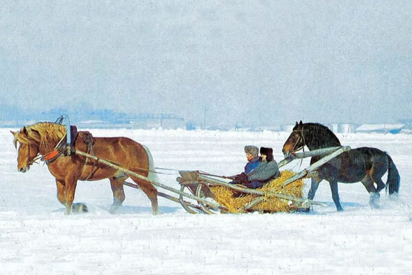 Источник фото сервис Яндекс.Картинки