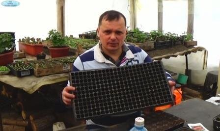 Кассета на 288 ячеек. Размер ячейки 1*1 см.