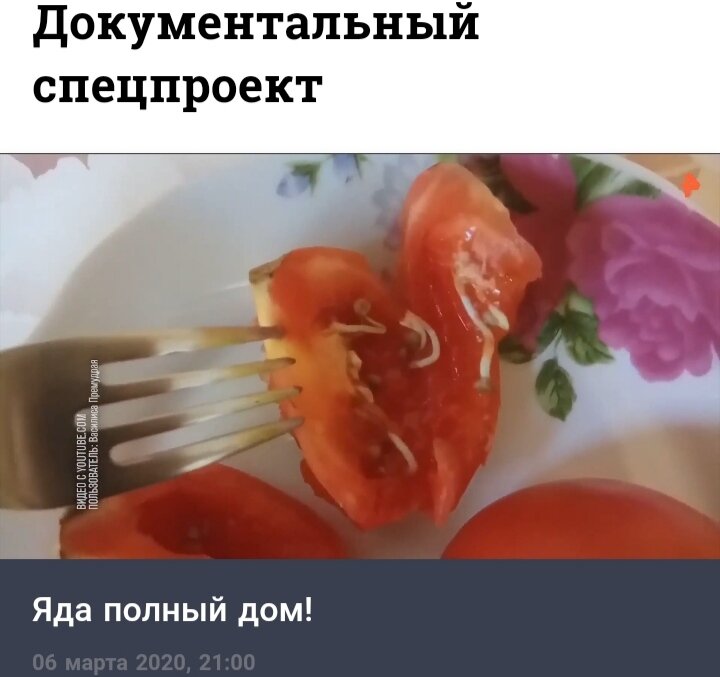 Скриншот при просмотре передачи. 