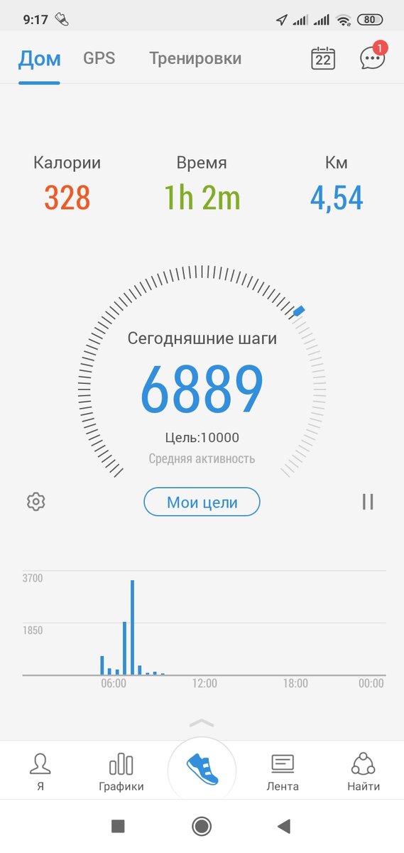 Мой шагомер. 