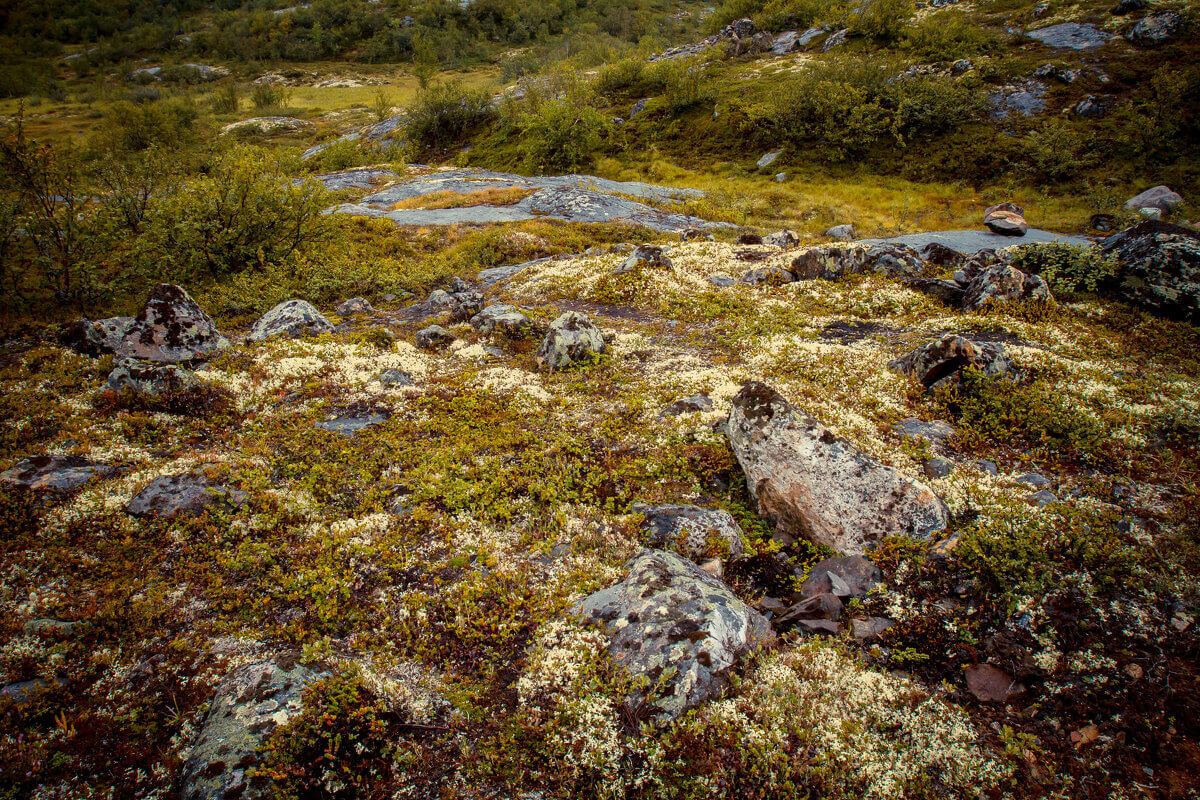 Фото: Марина Захарина fotokto.ru/photo/view/4356104.html