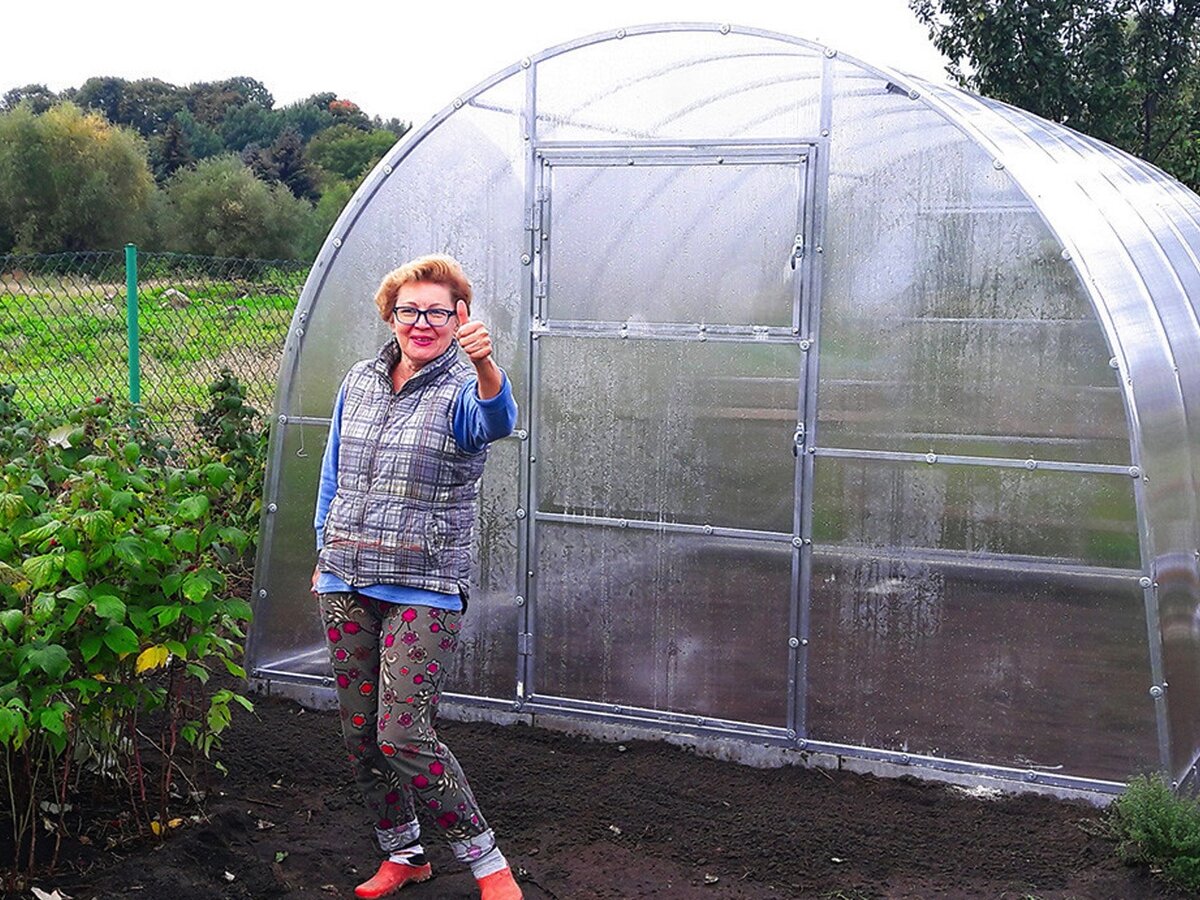 источник - яндекс.картинки - static.tildacdn.com