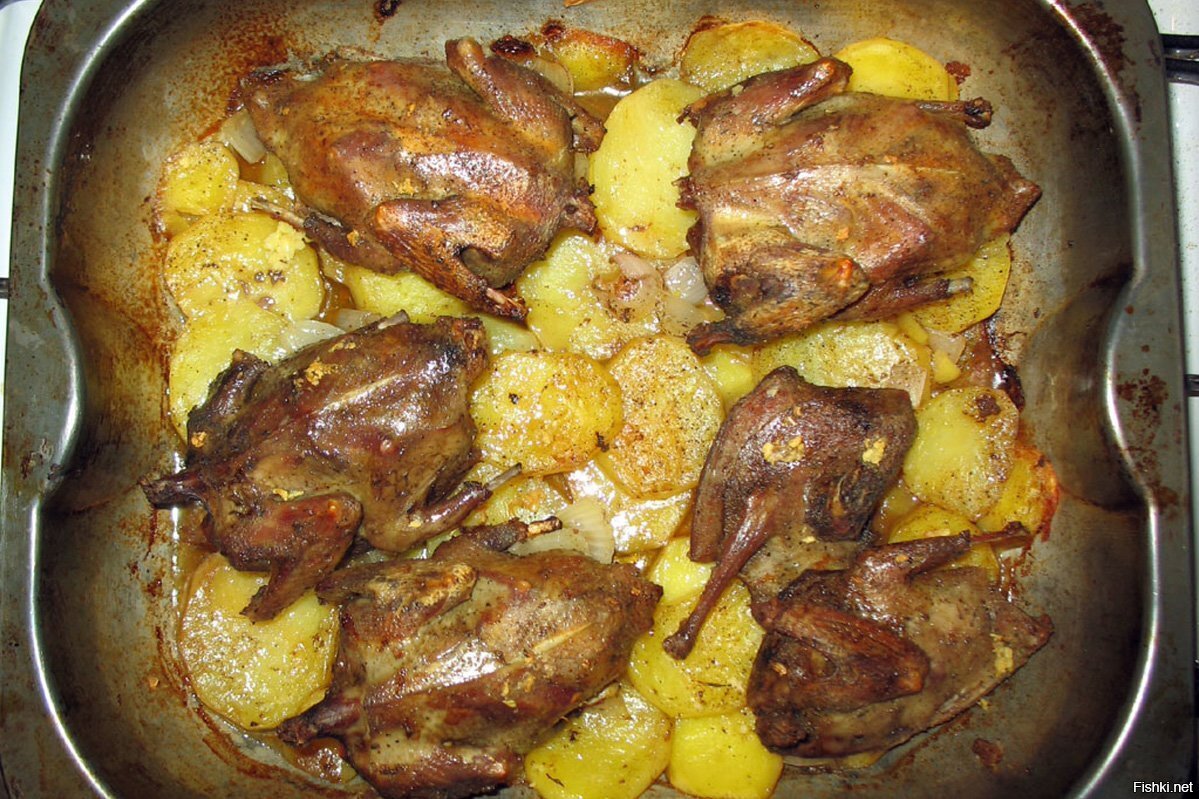 Голубь, жареный с картофелем