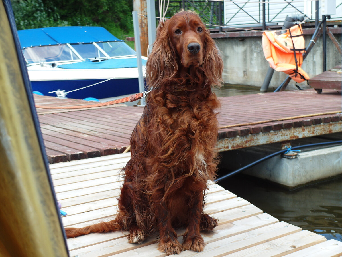 Куда Вы меня тащите????