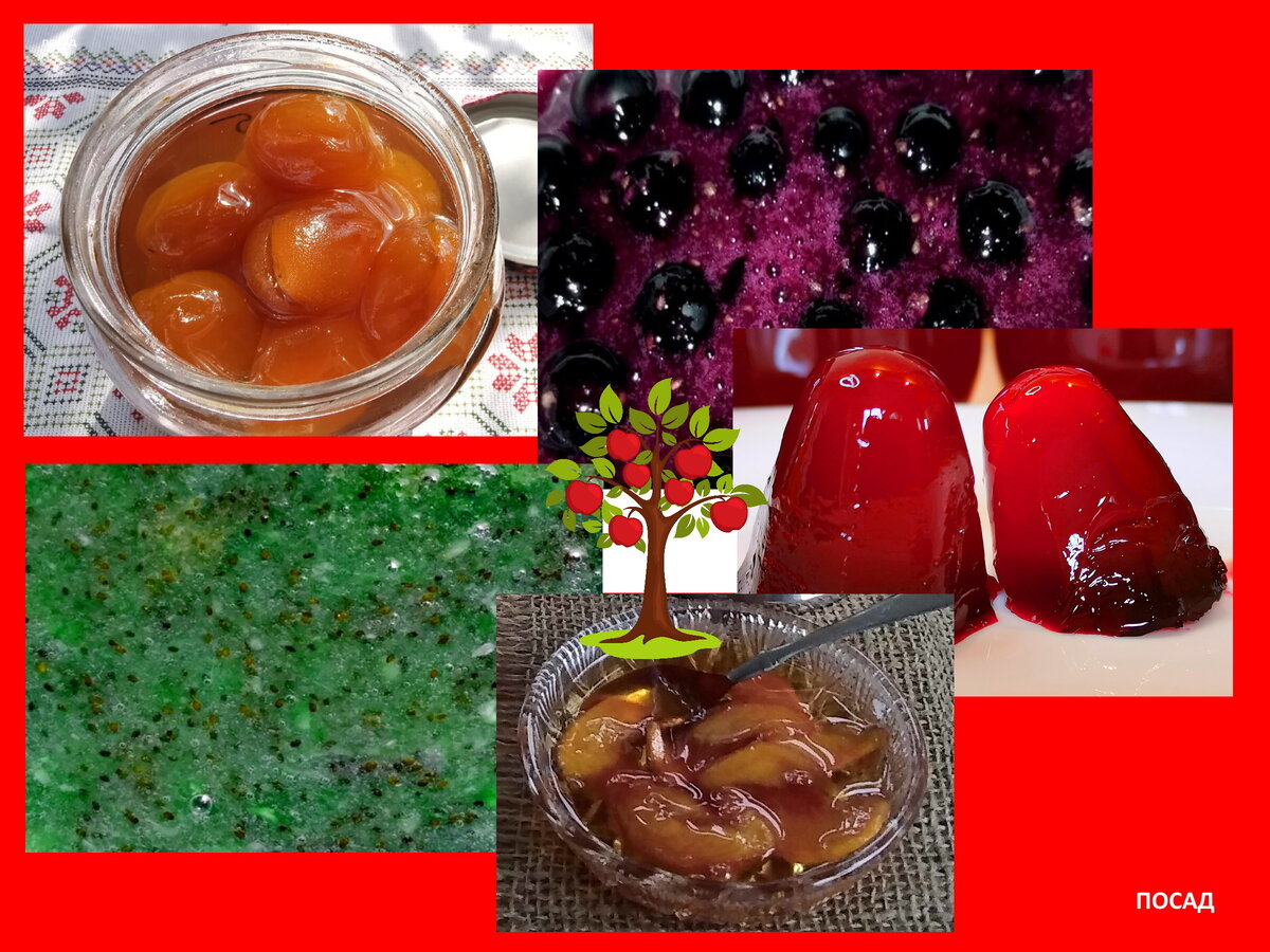 Сегодня - эти рецепты.