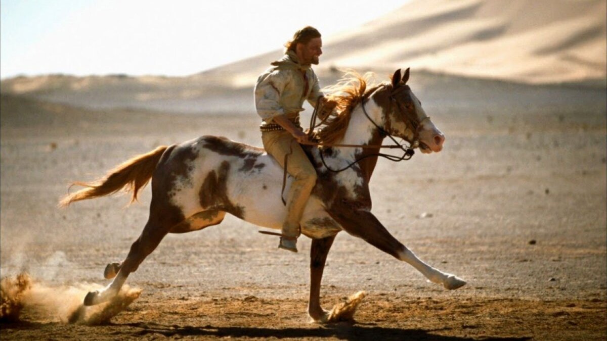 взято из открытого доступа