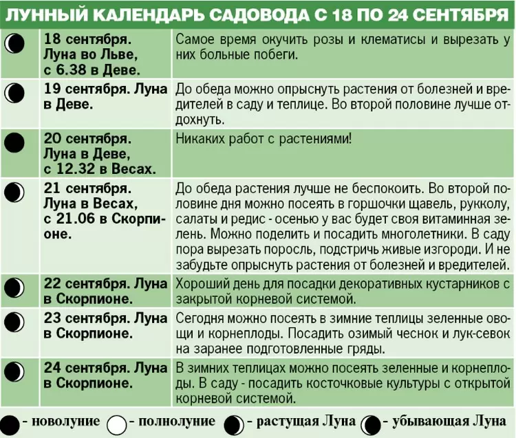 Лунный календарь садовода с 18 по 24 сентября 