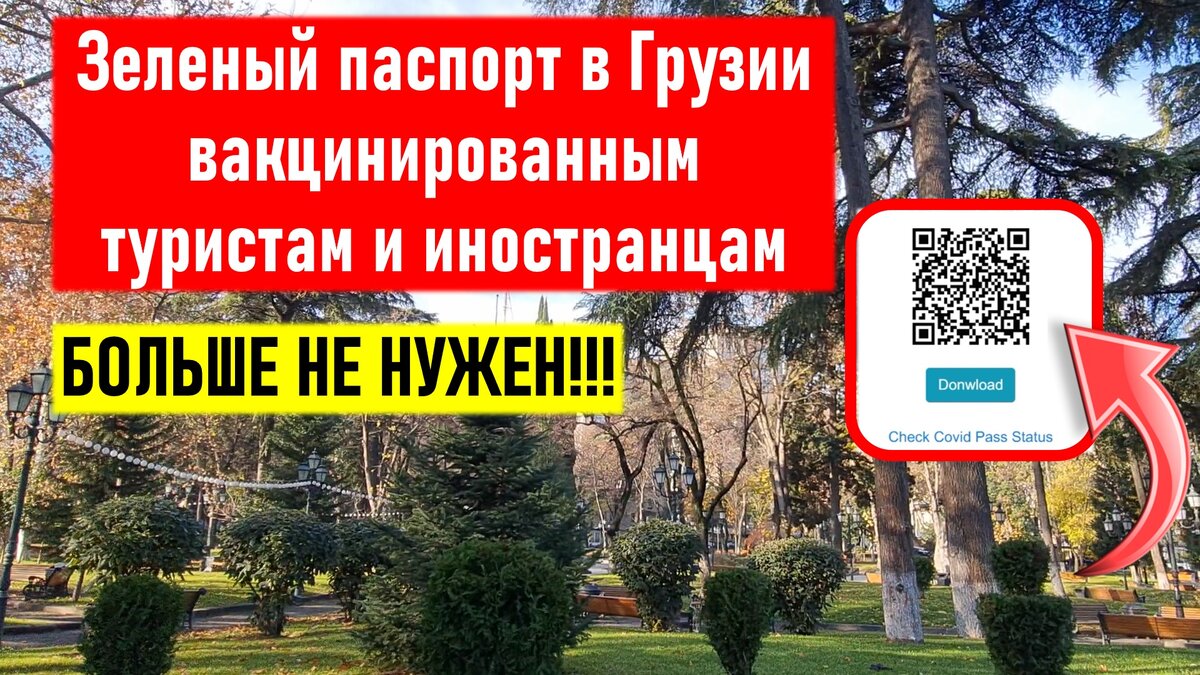 Зеленые паспорта в Грузии